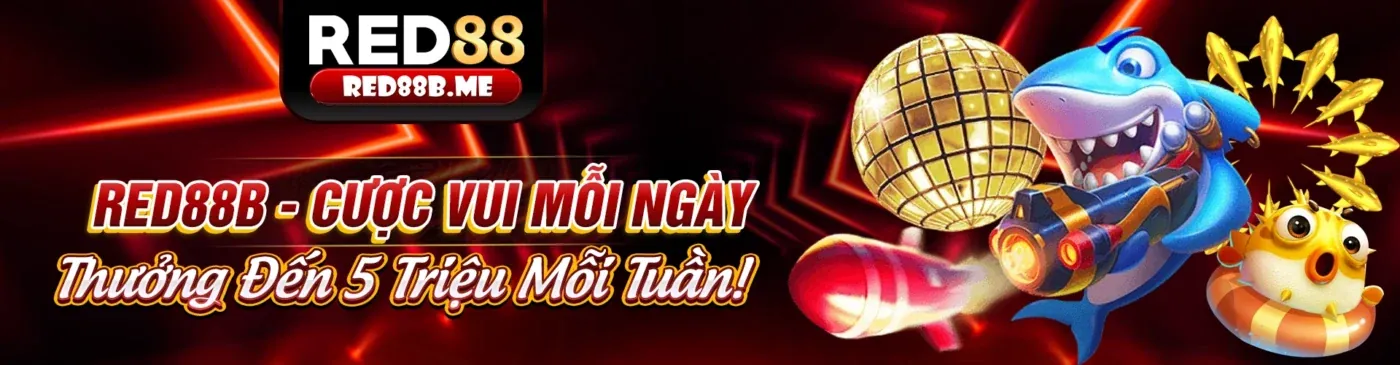 Giải Thích Các Loại Kèo Đá Gà